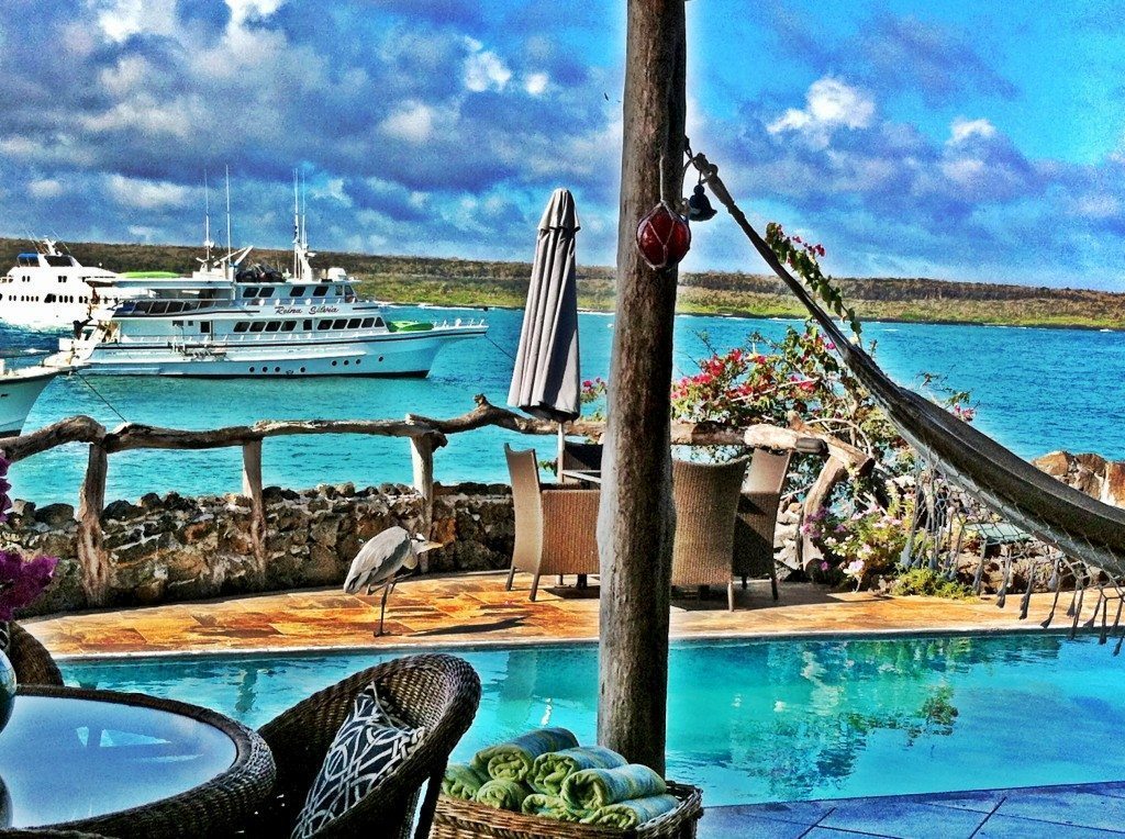 The Galapagos Islands