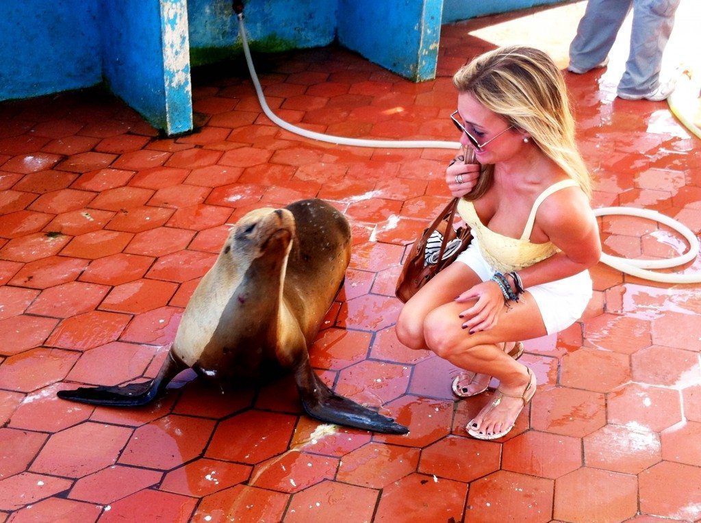 The Galapagos Islands