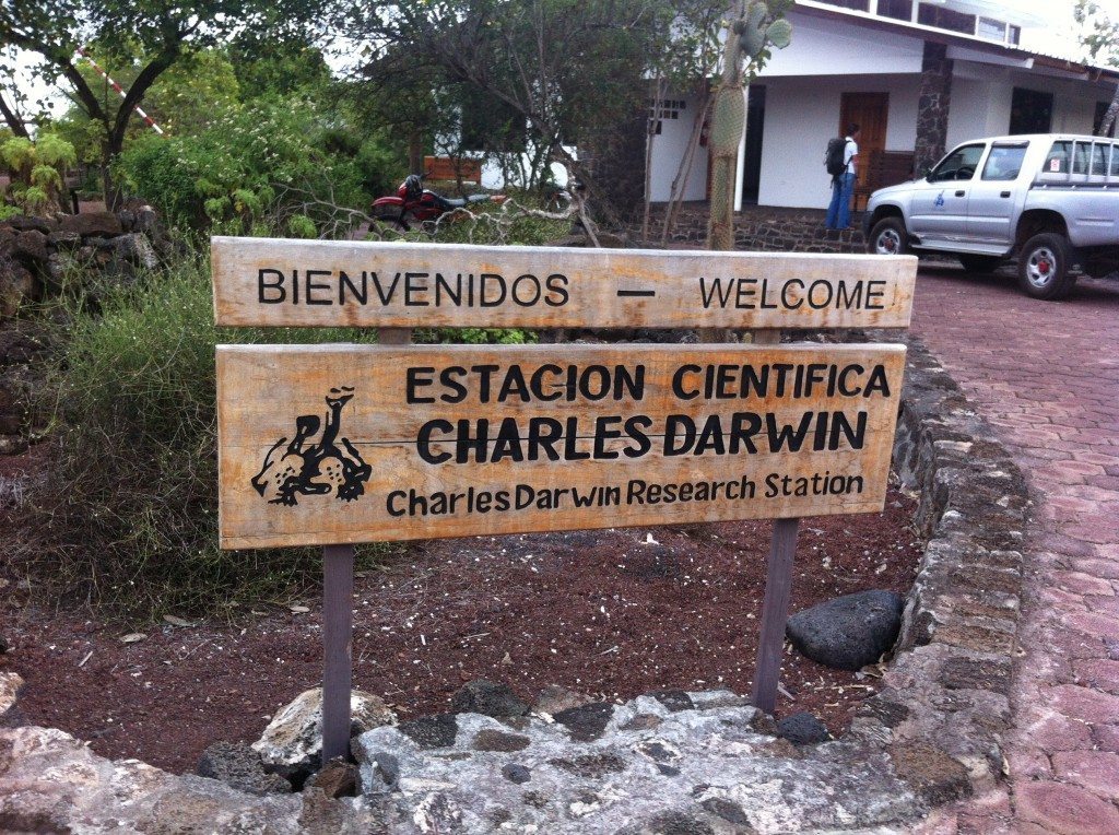 The Galapagos Islands