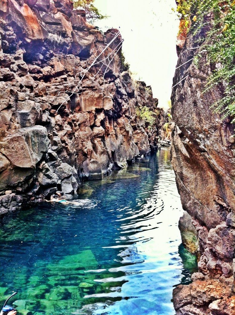 The Galapagos Islands
