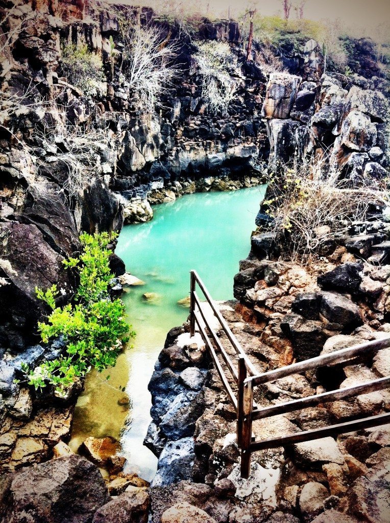 The Galapagos Islands