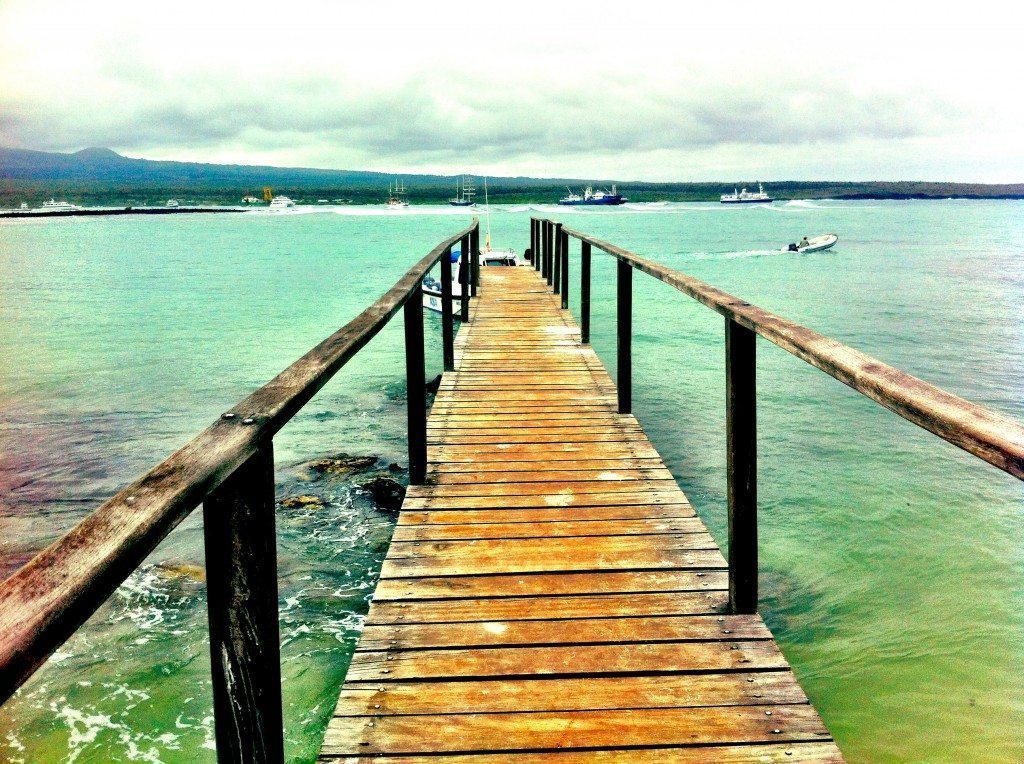 The Galapagos Islands