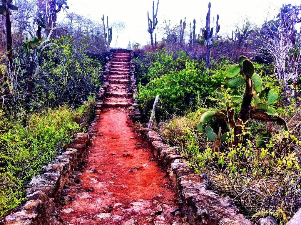 The Galapagos Islands