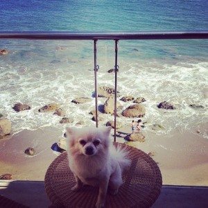 Malibu Beach Staycation