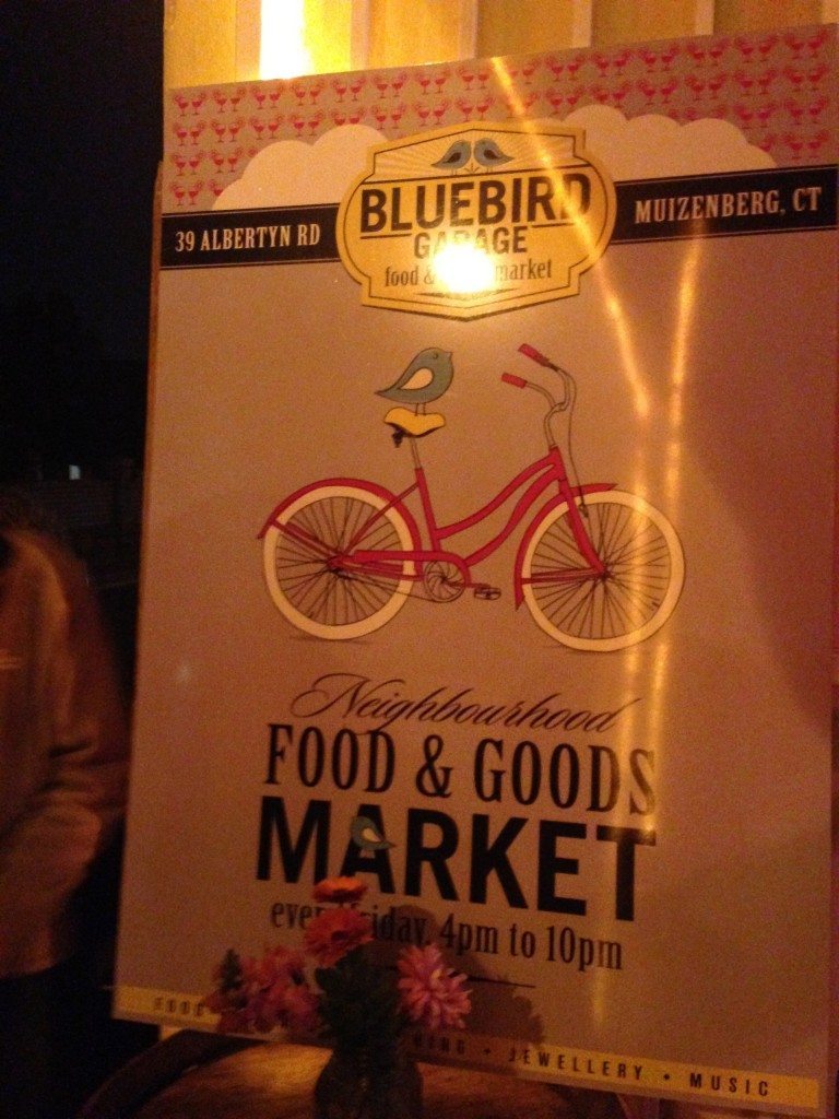 Boulders Beach Penguins in South Africa