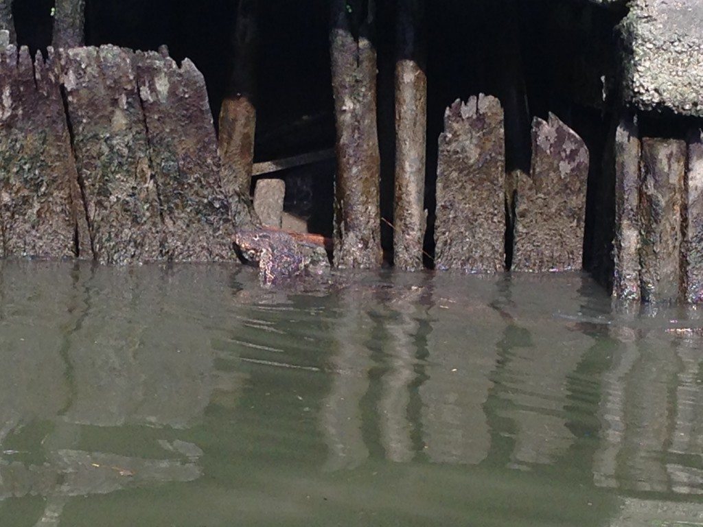 How to do Bangkok in 1 Day