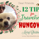 12 Tips For Traveling Hungover