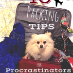 10 Packing Tips for Procrastinators