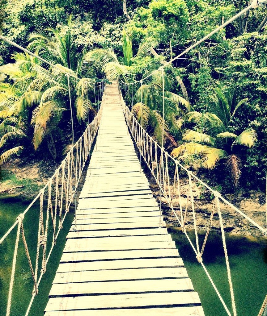 Hello, Honduras! 10 Things to do in the Jungle