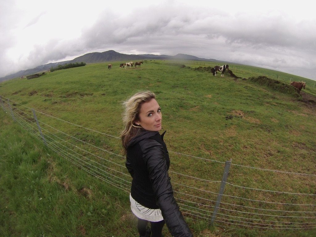 The Magical Horses of Iceland