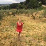 11230718_10152859066041765_1570038605865279249_n