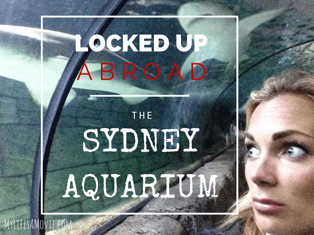 I just wanted a selfie with a shark!!!