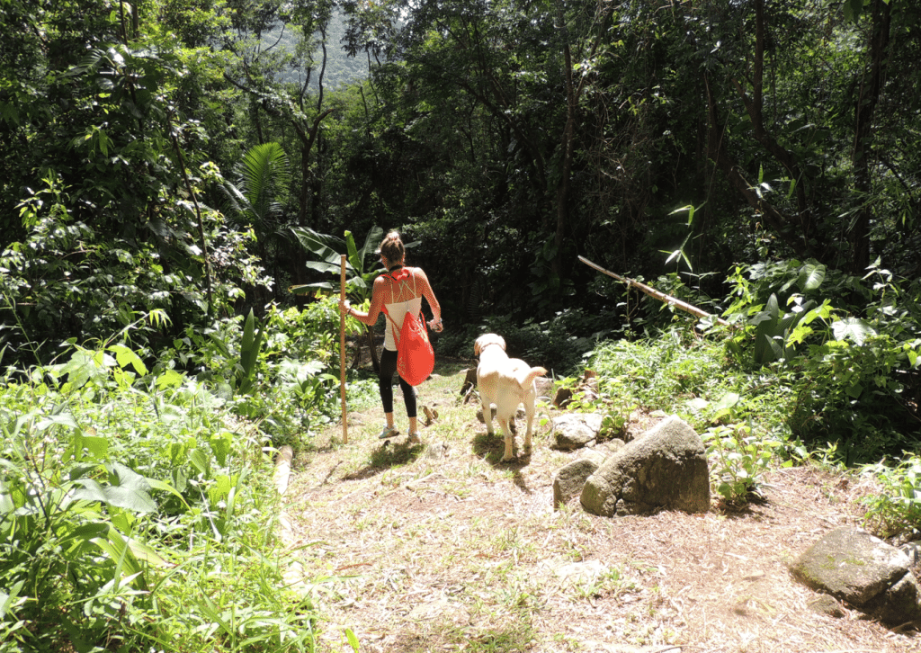 Check out my tour guide, isn't he cute?