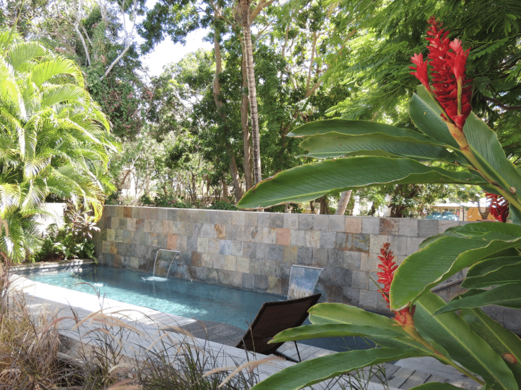 Jungle island oasis anyone?