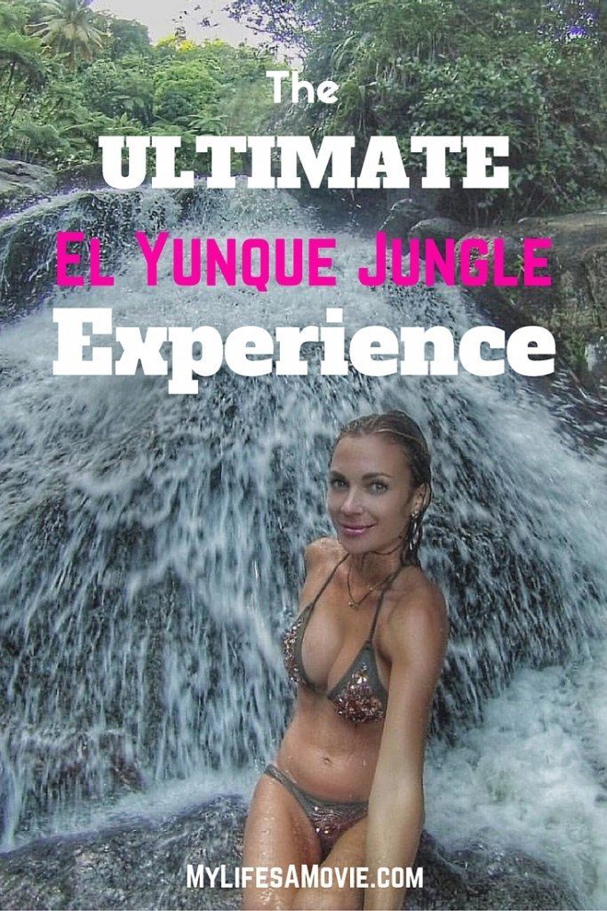 el yunque jungle experience