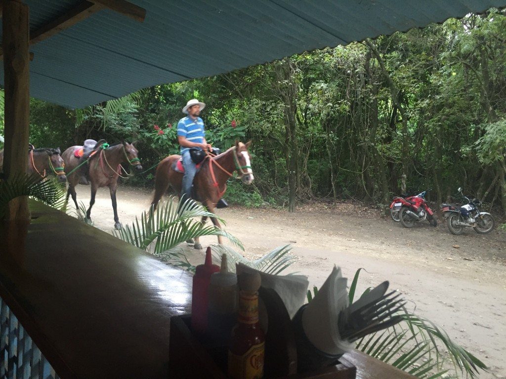 Parked my bicycle in the "lot" across from the restaurant, where horses were also walking by in front of