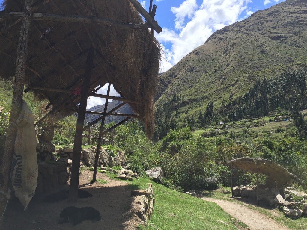 There aren't many, but still a few Incas that live near the beginning of the Inca Trail