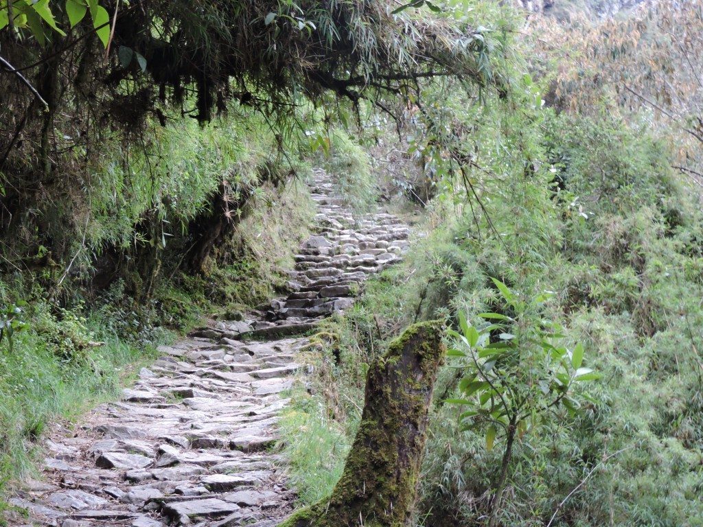 How did they do that? And who is they?