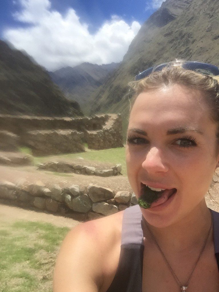 Mmmm coca leaves...tastes like horse hay
