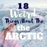 18 Weird things about the arctic mylifesamovie.com