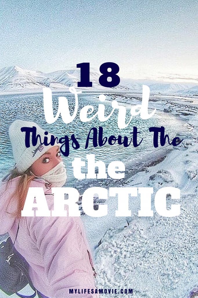 18 Weird things about the arctic mylifesamovie.com