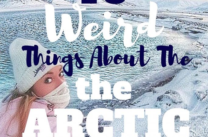 18 Weird things about the arctic mylifesamovie.com