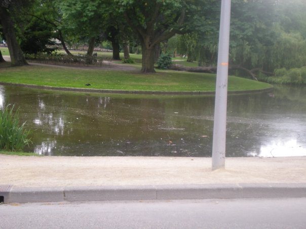 AffordableAmsterdam MyLifesAMovie.comvondelpark