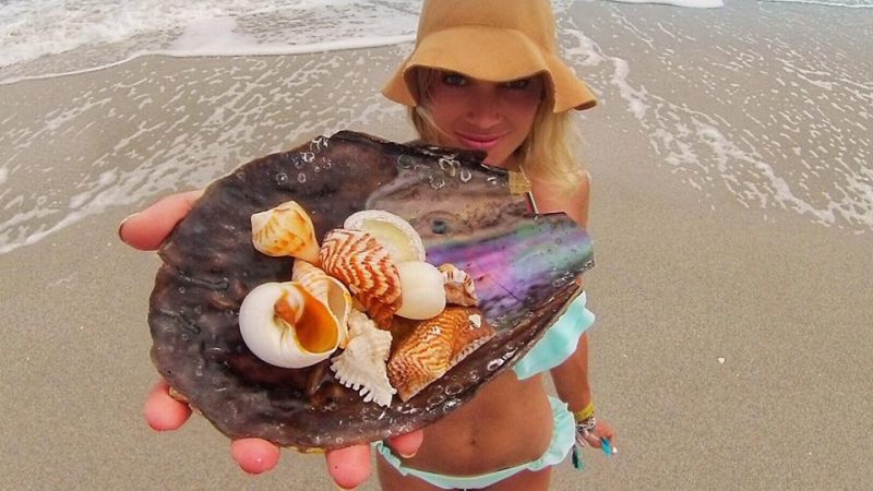 Why Sanibel Island is a Perfect Piece of Paradise