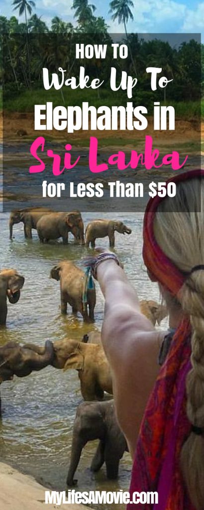 How to Wake Up to Elephants in Sri Lanka - MyLifesAMovie.com(1)