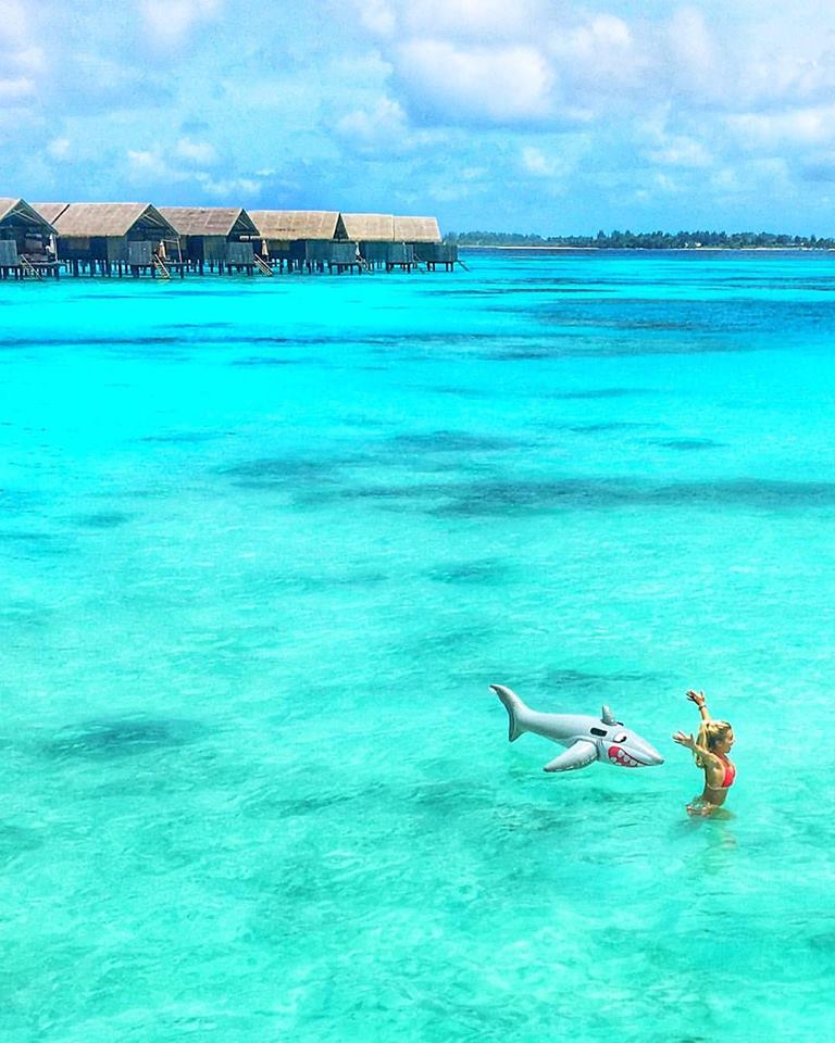 shark-shangrila-maldives-mylifesamovie-com