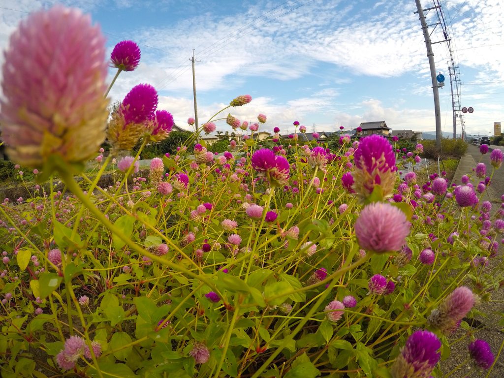 Tama parks mylifesamovie.com