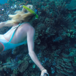 diving-in-komodo-islands-mylifesamovie-com