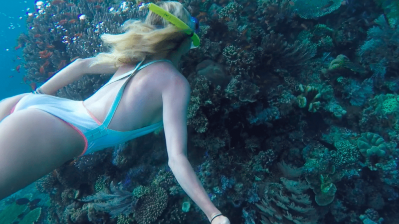 diving-in-komodo-islands-mylifesamovie-com