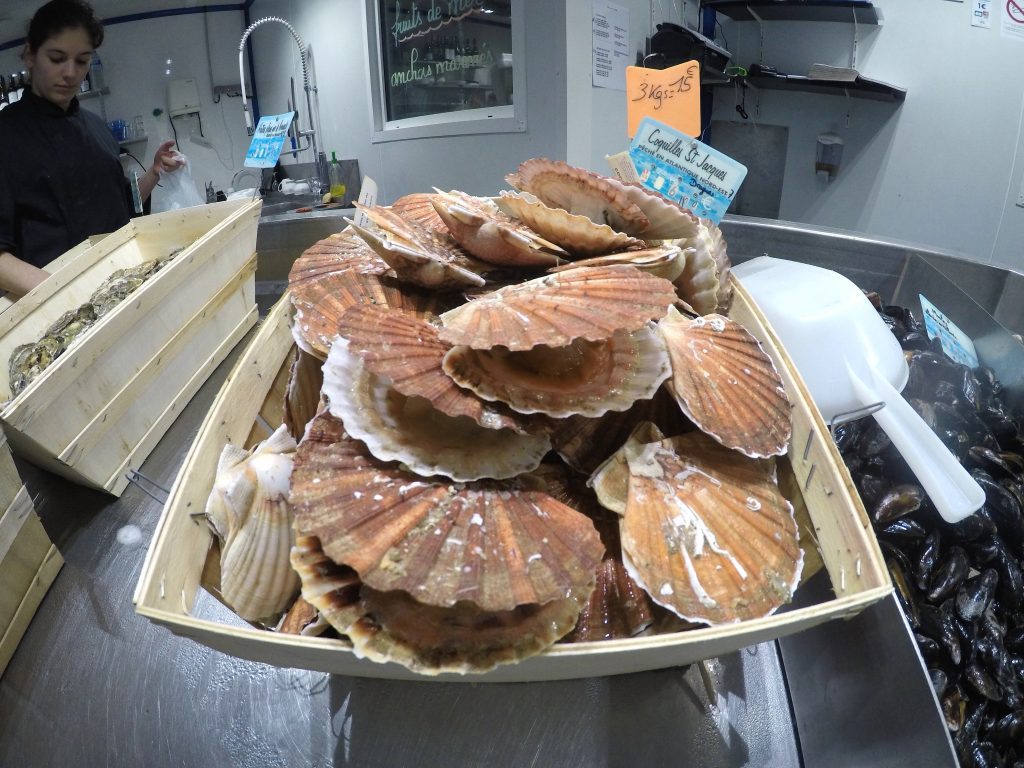 Honfleur Vantage mylifesamovie.com