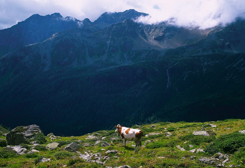 00000028804-nationalpark-hohe-tauern-oesterreich-werbung-diejun