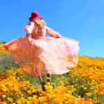 6 Best SUPER BLOOM Places to See the in California