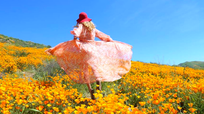 6 Best SUPER BLOOM Places to See the in California