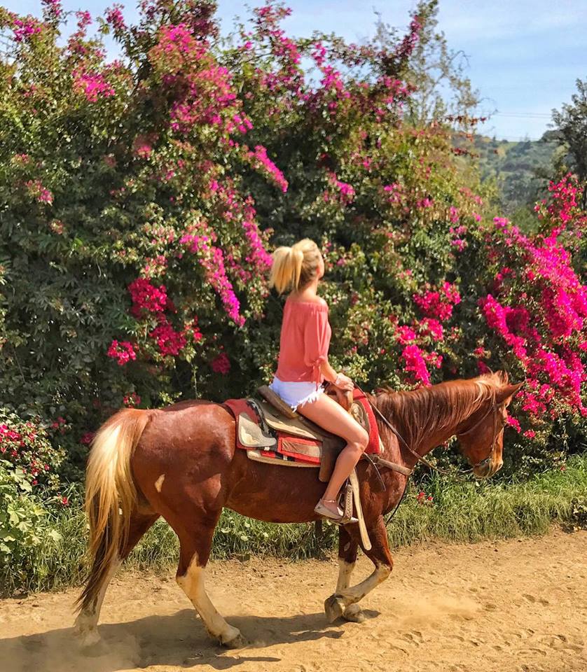 Burbank super bloom mylifesamovie.com