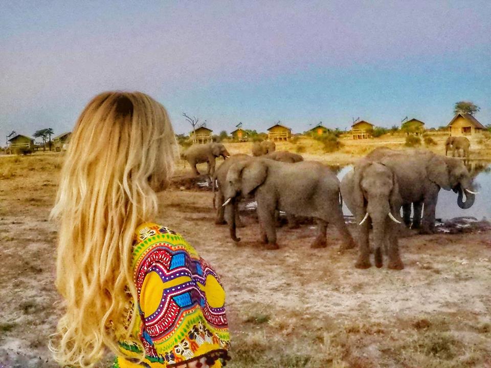 Botswana elephants mylifesamovie.com