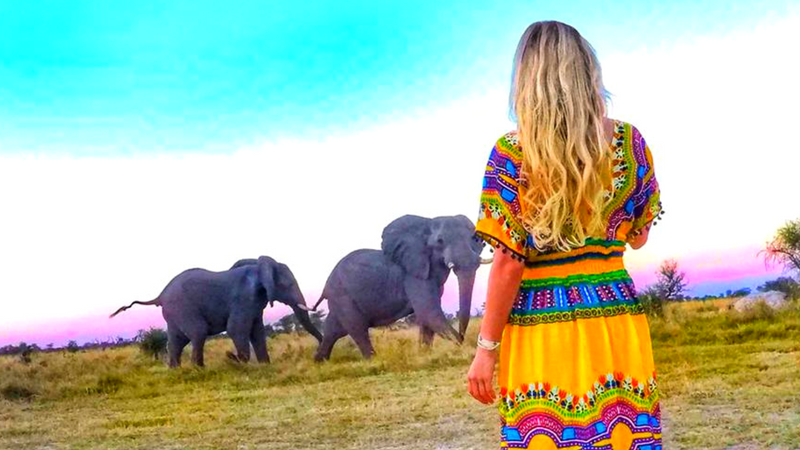 Where to See Wild Elephants in Botswana