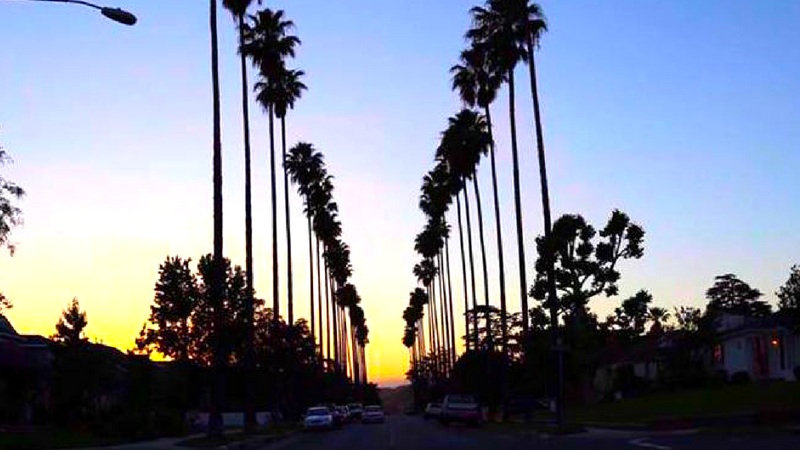 Your Guide to Burbank's Vibrant Nightlife!