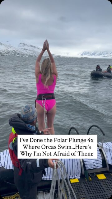 Am I afraid of Orcas? More like obsessed with them. I WISH they’d pop up when I’ve done the Polar Plunge, but so far they’ve only ever approached our small boat in Mexico, where we were permitted to follow regulations and swim with them!

I’ve done the Polar Plunge in Antarctica 3x and once in the Arctic, Orcas are always possibly present, but I know that humans are NOT part of their diet. We probably have too many toxins, chemicals, and damaged livers for them. 😁

I’ll be repeating both activities soon, so if you’d like more info on solo travel to Antarctica, the Arctic, or swimming with Orcas in Mexico, (OR joining one of my community’s expeditions there) drop me a comment and I’ll answer, 

Or check out the links on my profile for all of my global travel tips from over 143 countries and 12 years of traveling!