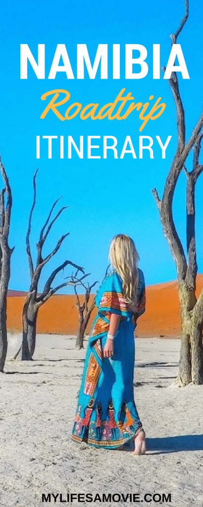 Namibia is one of the most amazing countries in southern Africa that's absolutely perfect to roadrip through! You'll see red sand dunes, a picture-perfect desert, and a national park full of wild lions, rhinos, elephants, giraffes, and zebras! Here's everything you need for a Namibia roadtrip itinerary!