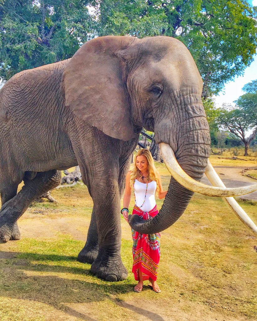 Elephant Cafe livingstone zambia mylifesamovie.com