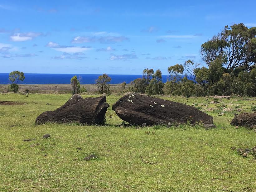 Moai down mylifesamovie.com