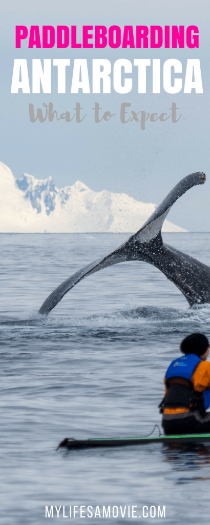 I just went PADDLEBOARDING in ANTARCTICA and it was hands down my most epic adventure yet! Find out what to expect, how to prepare, and what you'll see, all in this post!
