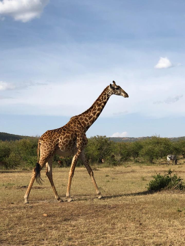 Kenya travel tips mylifesamovie.com Alyssa Ramos