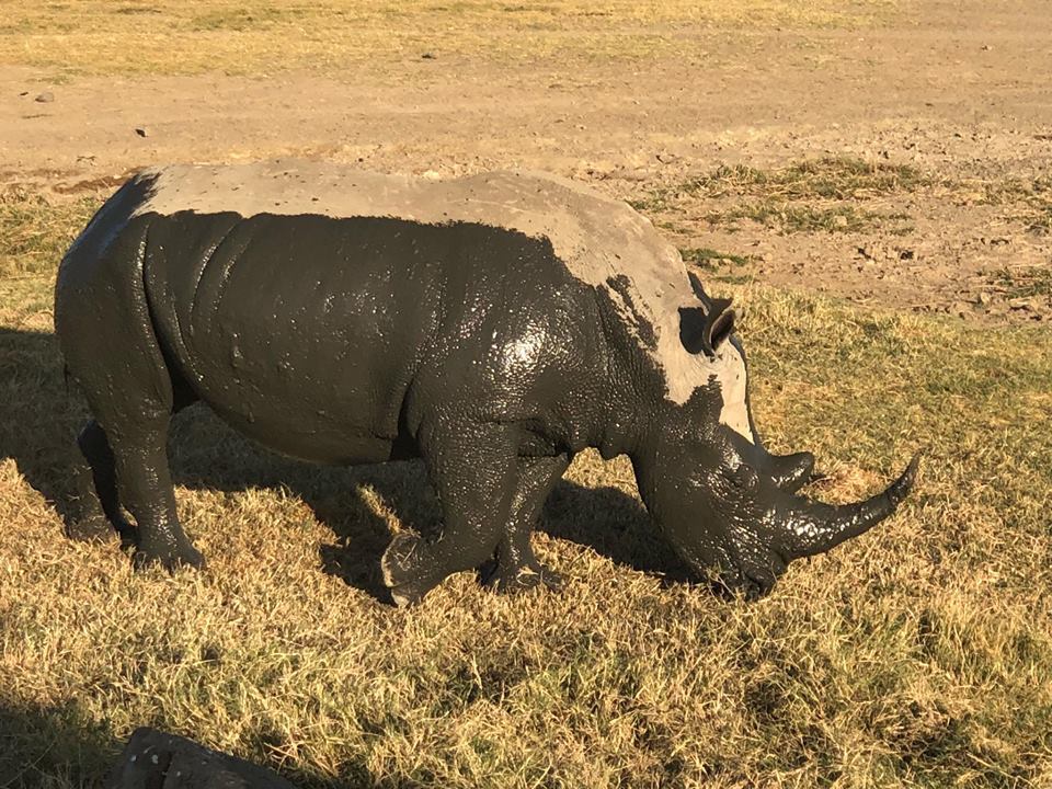 Kenya travel tips mylifesamovie.com Alyssa Ramos