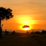 Easy Essential Kenya Travel Information