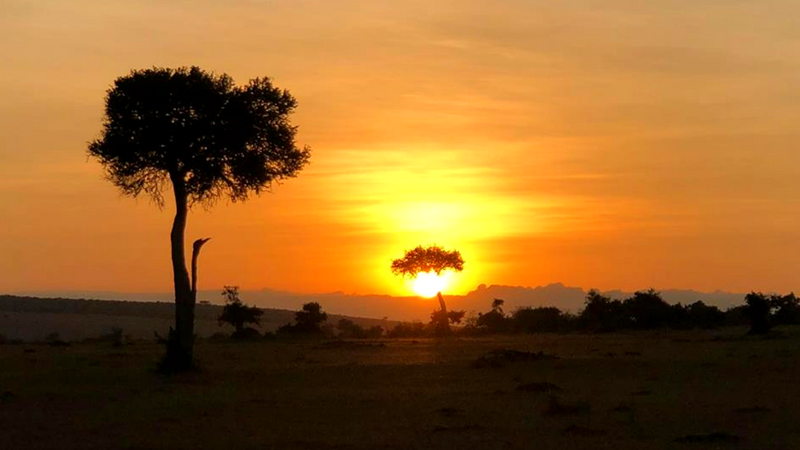 Easy Essential Kenya Travel Information